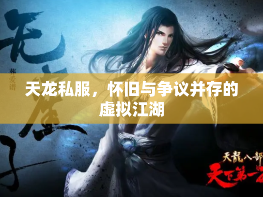 天龙私服，怀旧与争议并存的虚拟江湖