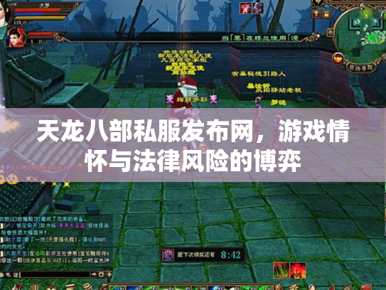天龙八部私服发布网，游戏情怀与法律风险的博弈