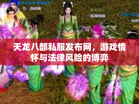 天龙八部私服发布网，游戏情怀与法律风险的博弈