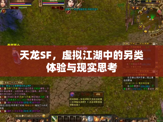 天龙SF，虚拟江湖中的另类体验与现实思考