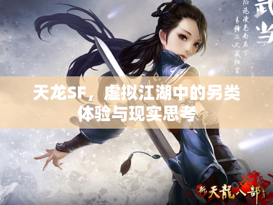 天龙SF，虚拟江湖中的另类体验与现实思考