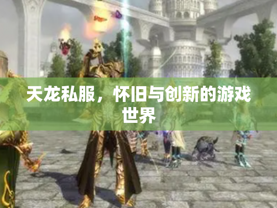 天龙私服，怀旧与创新的游戏世界
