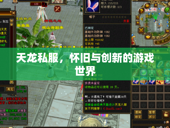 天龙私服，怀旧与创新的游戏世界