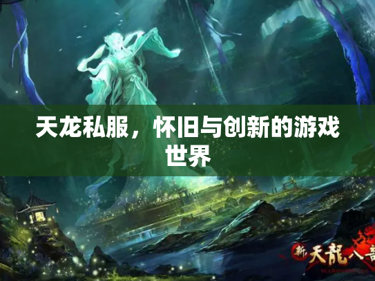 天龙私服，怀旧与创新的游戏世界