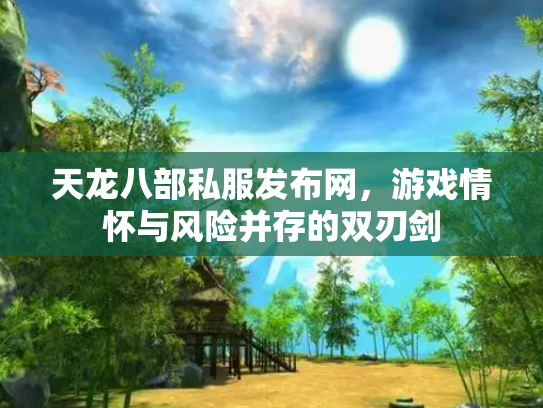 天龙八部私服发布网，游戏情怀与风险并存的双刃剑
