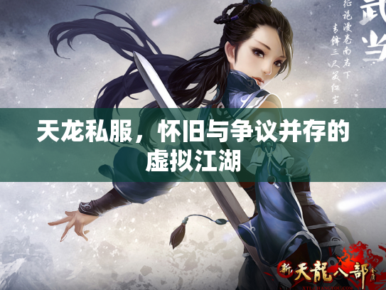 天龙私服，怀旧与争议并存的虚拟江湖