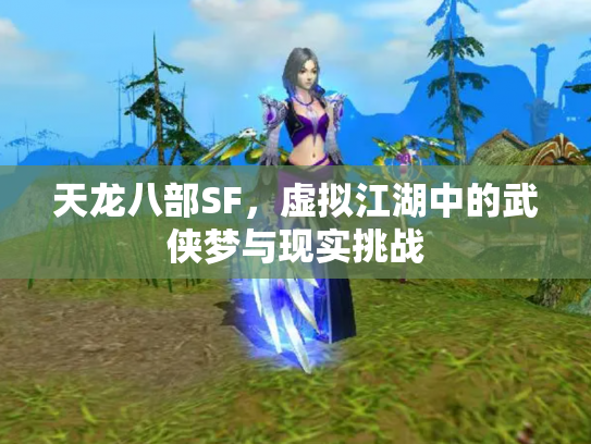 天龙八部SF，虚拟江湖中的武侠梦与现实挑战