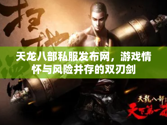 天龙八部私服发布网，游戏情怀与风险并存的双刃剑