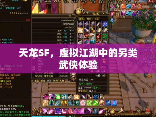 天龙SF，虚拟江湖中的另类武侠体验
