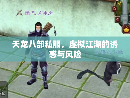 天龙八部私服，虚拟江湖的诱惑与风险