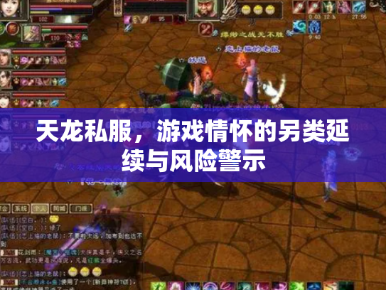 天龙私服，游戏情怀的另类延续与风险警示