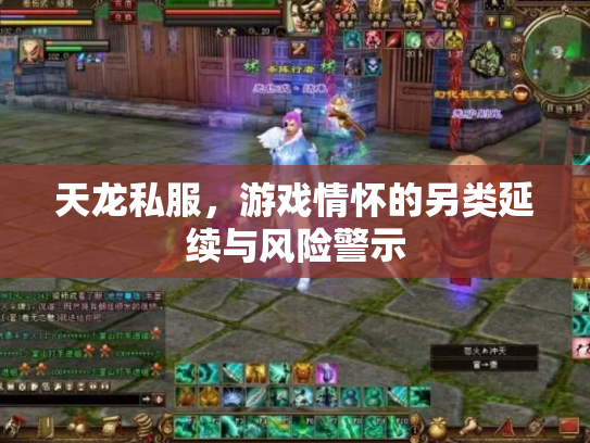 天龙私服，游戏情怀的另类延续与风险警示