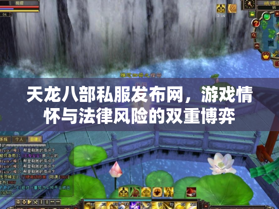 天龙八部私服发布网，游戏情怀与法律风险的双重博弈