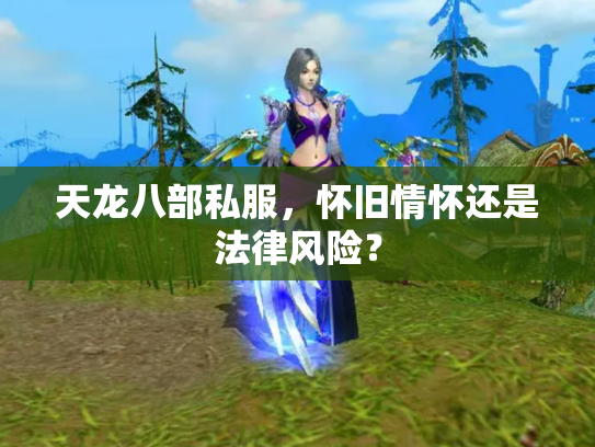 天龙八部私服，怀旧情怀还是法律风险？