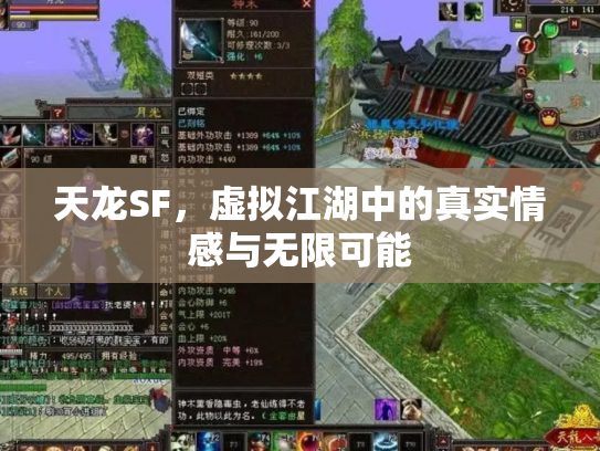 天龙SF，虚拟江湖中的真实情感与无限可能