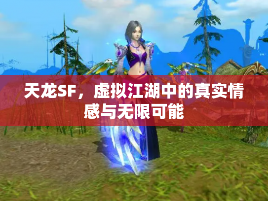 天龙SF，虚拟江湖中的真实情感与无限可能