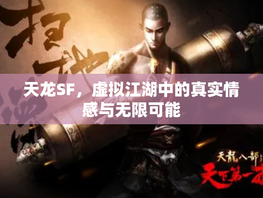 天龙SF，虚拟江湖中的真实情感与无限可能