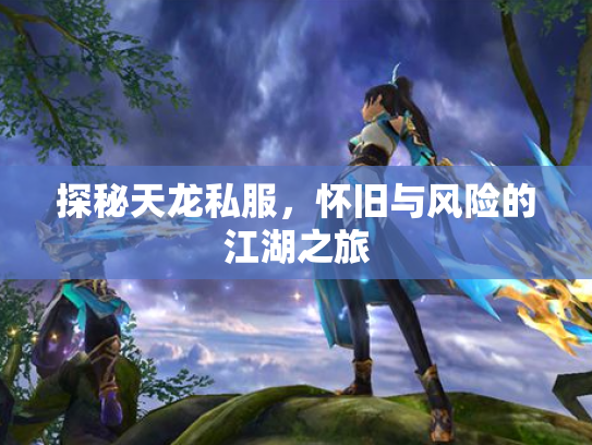探秘天龙私服，怀旧与风险的江湖之旅