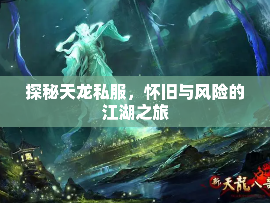 探秘天龙私服，怀旧与风险的江湖之旅