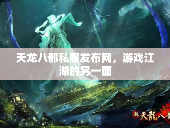 天龙八部私服发布网，游戏江湖的另一面