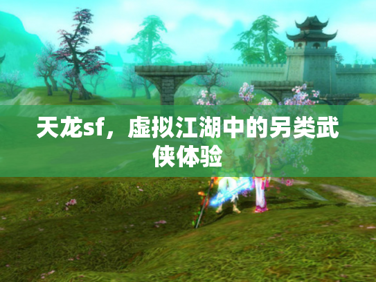 天龙sf，虚拟江湖中的另类武侠体验