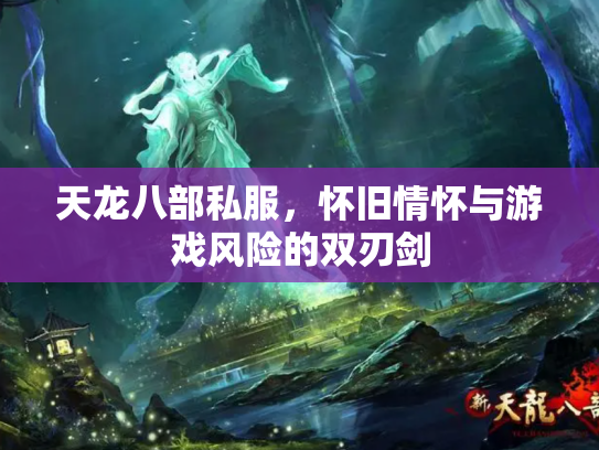 天龙八部私服，怀旧情怀与游戏风险的双刃剑