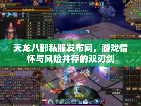 天龙八部私服发布网，游戏情怀与风险并存的双刃剑