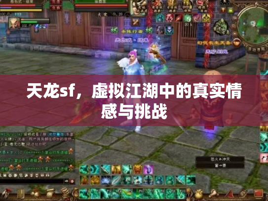 天龙sf，虚拟江湖中的真实情感与挑战