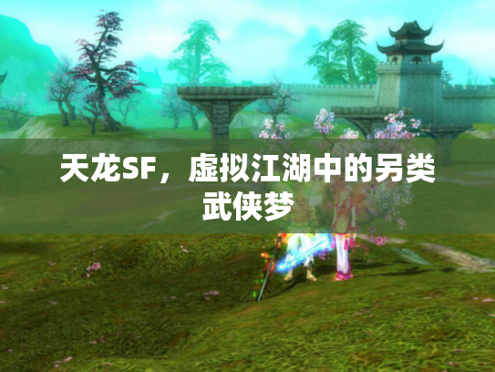 天龙SF，虚拟江湖中的另类武侠梦
