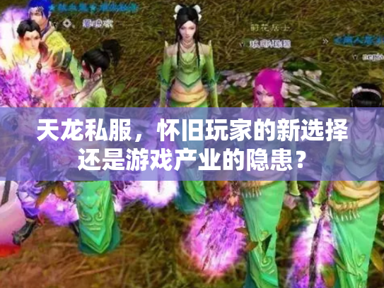 天龙私服，怀旧玩家的新选择还是游戏产业的隐患？