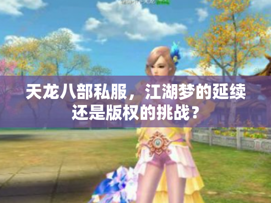 天龙八部私服，江湖梦的延续还是版权的挑战？