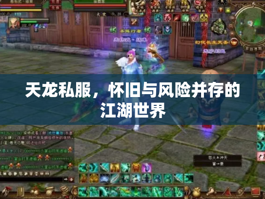 天龙私服，怀旧与风险并存的江湖世界