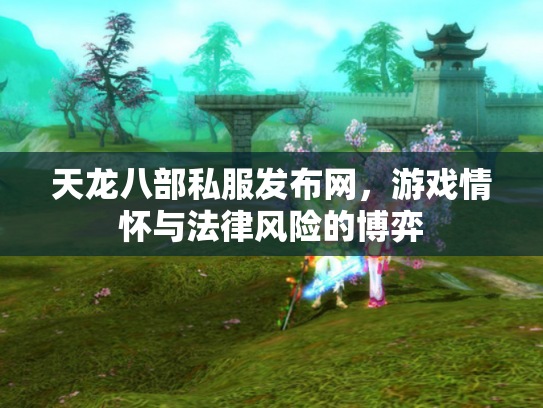 天龙八部私服发布网，游戏情怀与法律风险的博弈