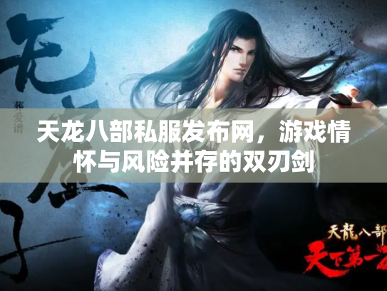天龙八部私服发布网，游戏情怀与风险并存的双刃剑