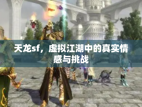天龙sf，虚拟江湖中的真实情感与挑战