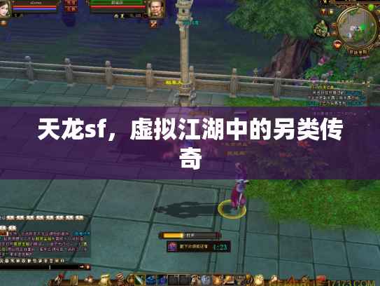 天龙sf，虚拟江湖中的另类传奇