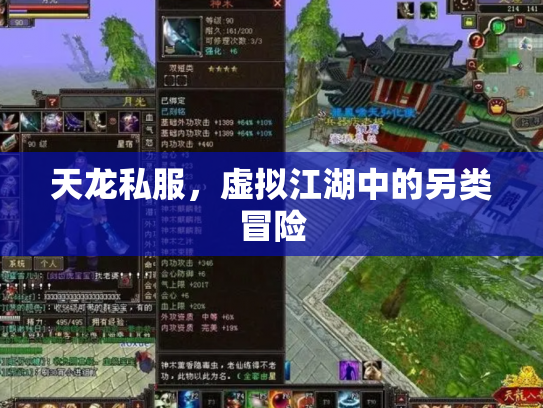 天龙私服，虚拟江湖中的另类冒险