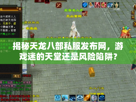 揭秘天龙八部私服发布网，游戏迷的天堂还是风险陷阱？