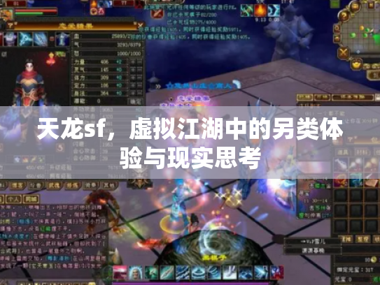 天龙sf，虚拟江湖中的另类体验与现实思考