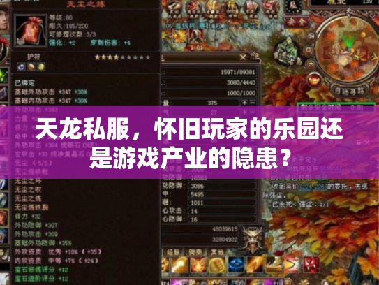 天龙私服，怀旧玩家的乐园还是游戏产业的隐患？