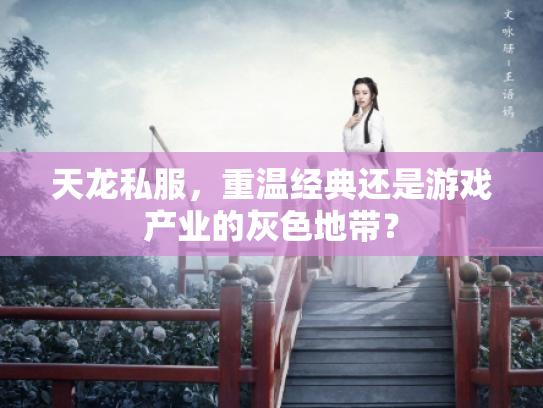 天龙私服，重温经典还是游戏产业的灰色地带？