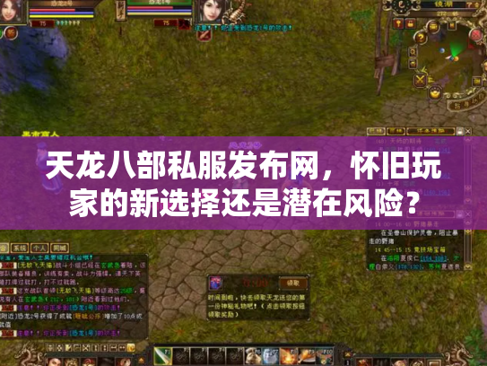 天龙八部私服发布网，怀旧玩家的新选择还是潜在风险？