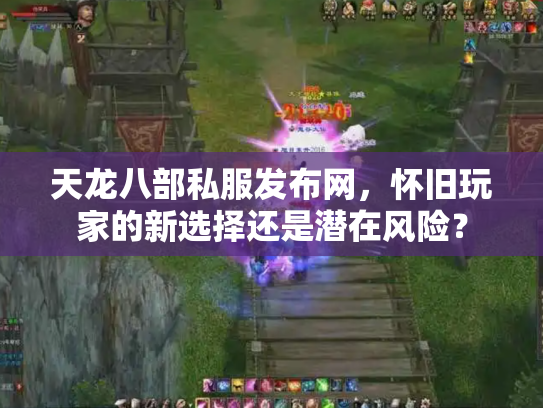 天龙八部私服发布网，怀旧玩家的新选择还是潜在风险？