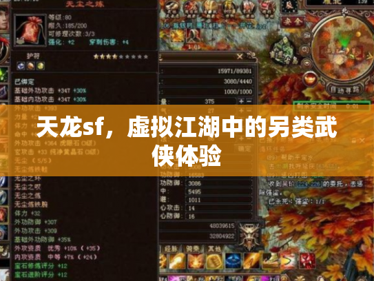 天龙sf，虚拟江湖中的另类武侠体验