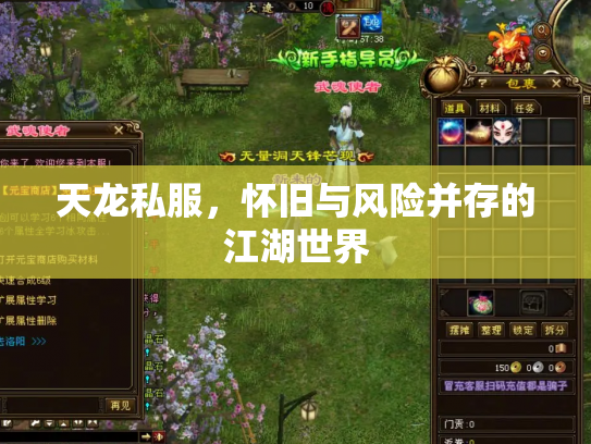 天龙私服，怀旧与风险并存的江湖世界