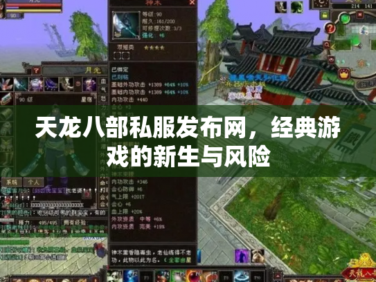 天龙八部私服发布网，经典游戏的新生与风险
