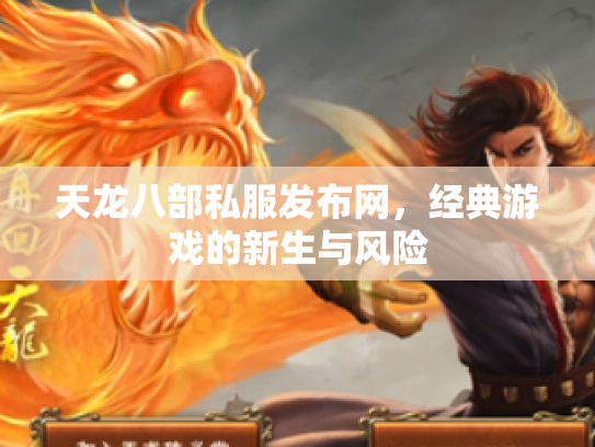 天龙八部私服发布网，经典游戏的新生与风险