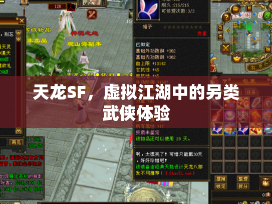 天龙SF，虚拟江湖中的另类武侠体验