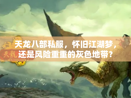 天龙八部私服，怀旧江湖梦，还是风险重重的灰色地带？