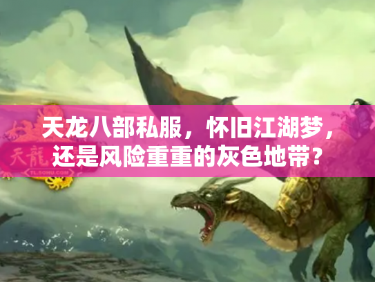 天龙八部私服，怀旧江湖梦，还是风险重重的灰色地带？